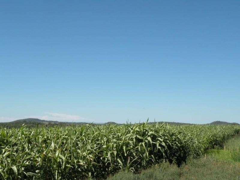 Irongate QLD 4356