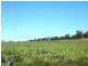 Irongate QLD 4356
