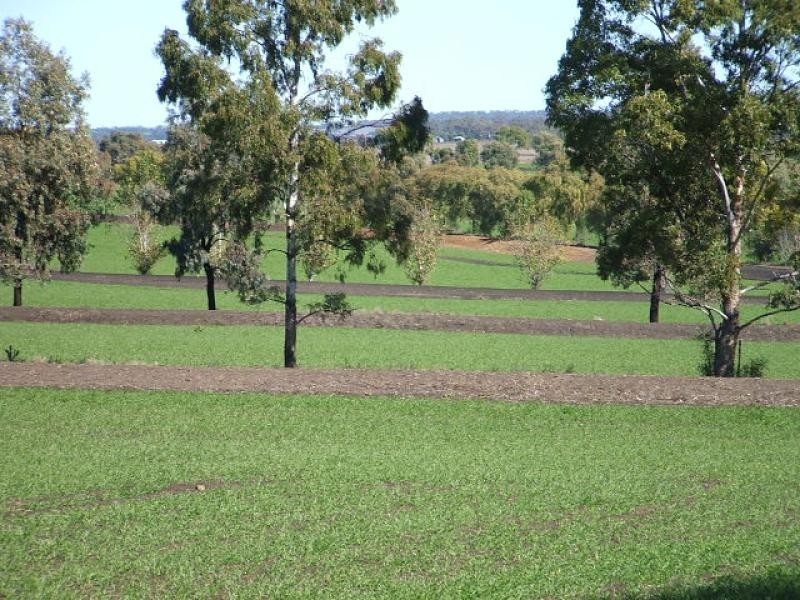 Oakey QLD 4401