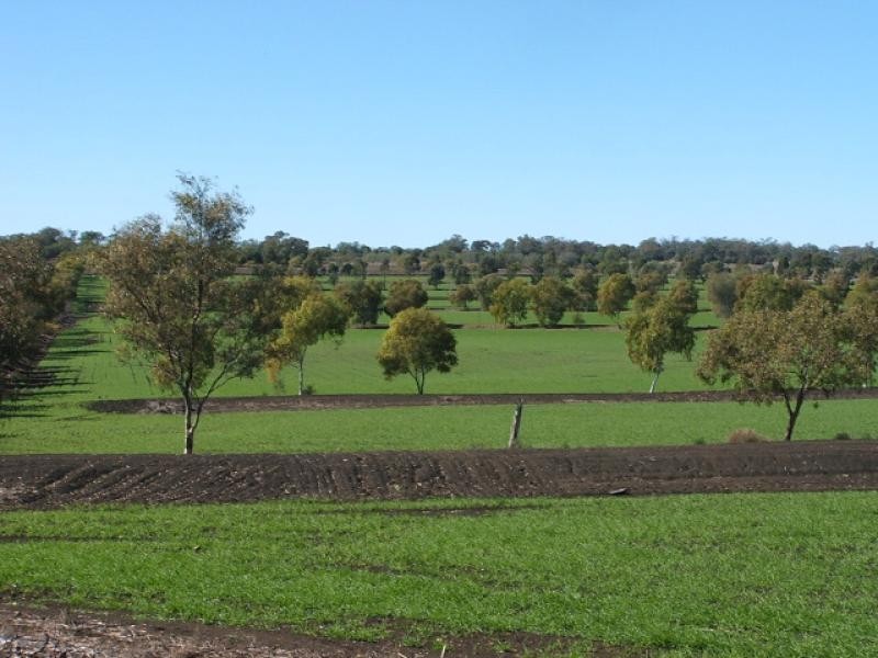Oakey QLD 4401