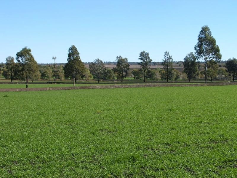 Oakey QLD 4401