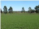 Oakey QLD 4401