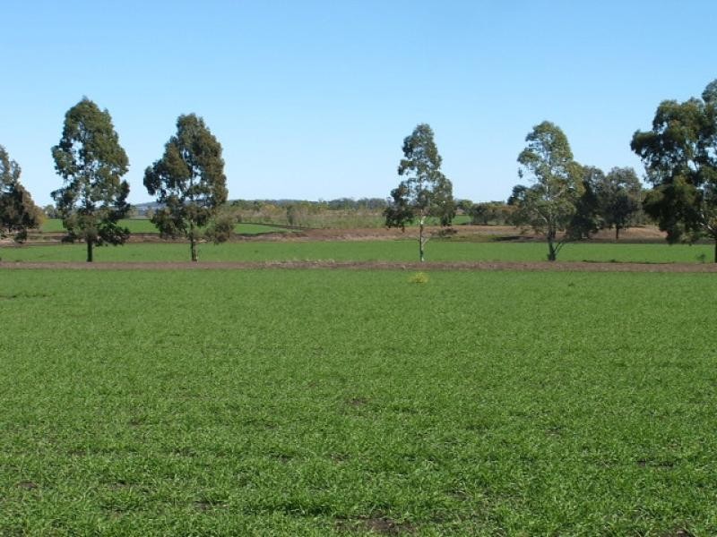 Oakey QLD 4401