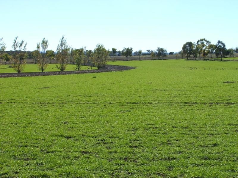 Oakey QLD 4401