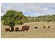 2289 Glencoe Road, Kingsthorpe QLD 4400