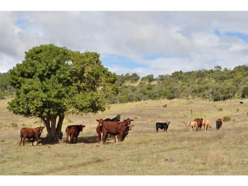 2289 Glencoe Road, Kingsthorpe QLD 4400
