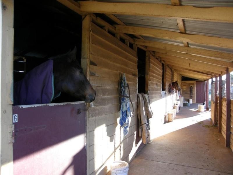 8 McDowall Street, Newtown QLD 4350