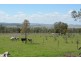 675 Southbrook Felton Road, Southbrook QLD 4363
