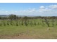 675 Southbrook Felton Road, Southbrook QLD 4363