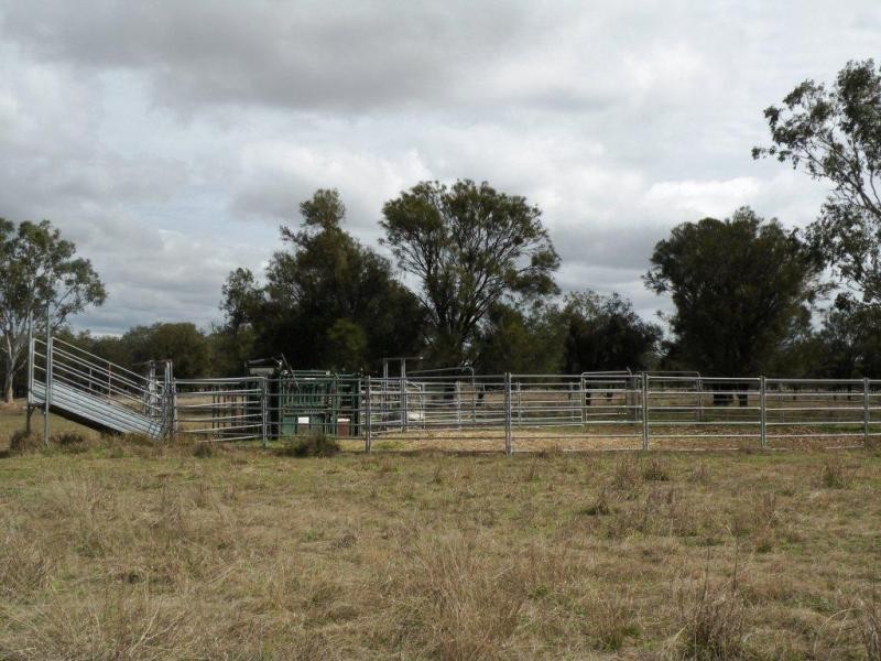 Kulpi QLD 4352