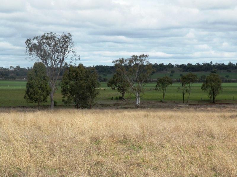 Kulpi QLD 4352
