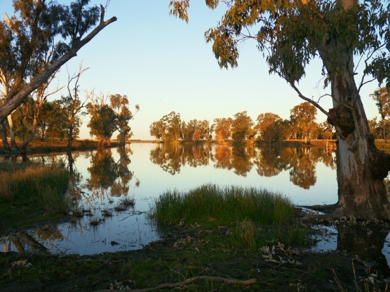 88 Quire Road, Cecil Plains QLD 4407