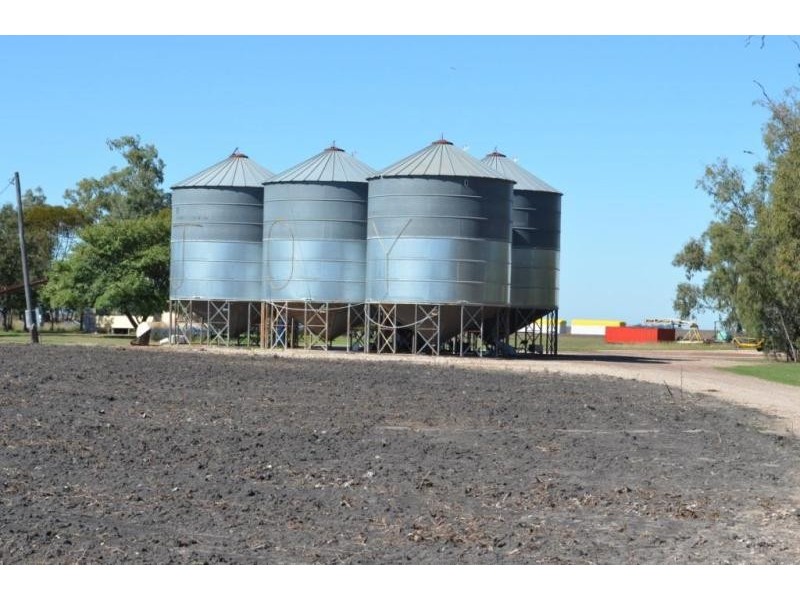 88 Quire Road, Cecil Plains QLD 4407