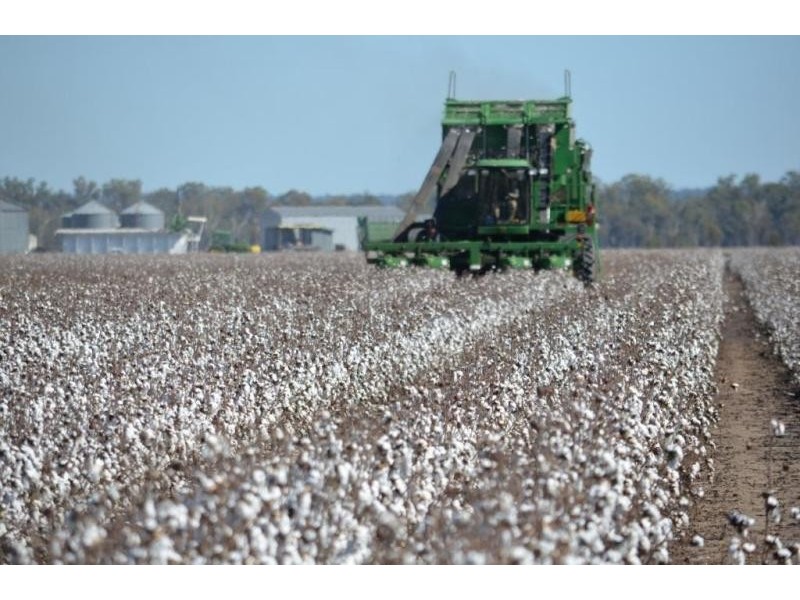 88 Quire Road, Cecil Plains QLD 4407