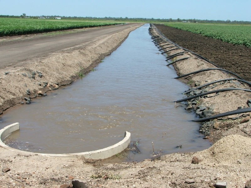 88 Quire Road, Cecil Plains QLD 4407