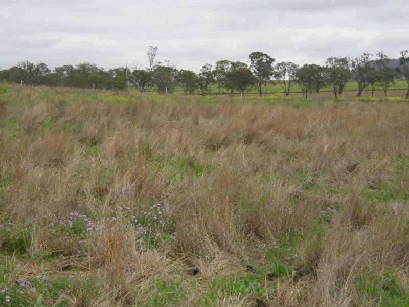 Greenmount QLD 4359