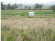 Greenmount QLD 4359