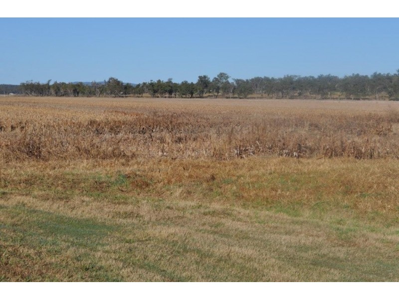 89 Ryeford Back Plains Rd, Clifton QLD 4361