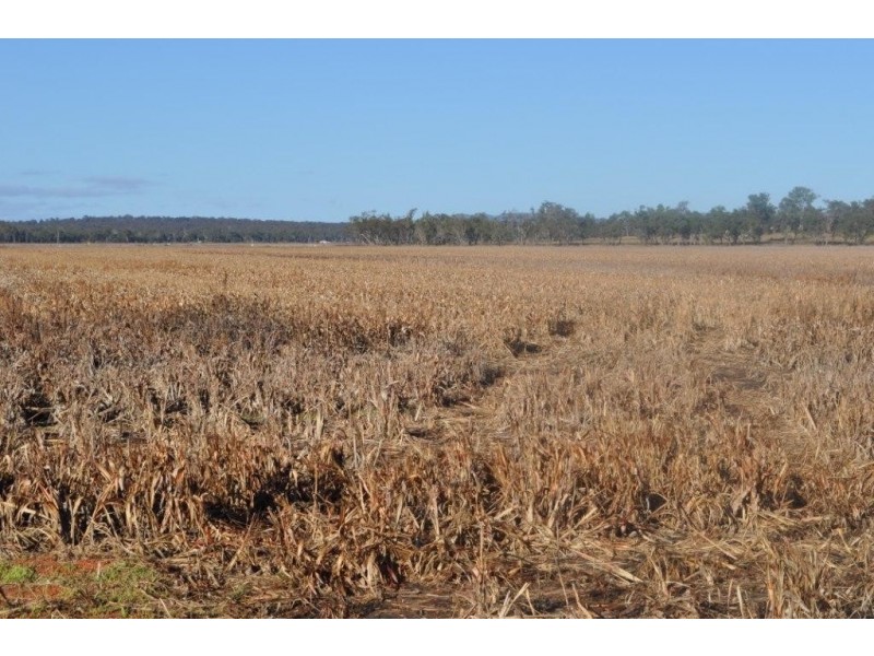 89 Ryeford Back Plains Rd, Clifton QLD 4361