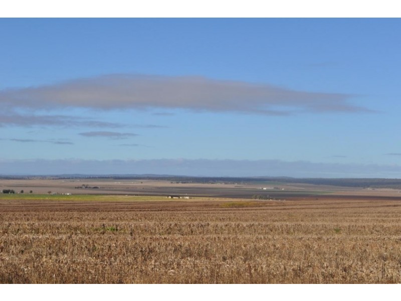 Lot 105 Clifton Pittsworth Road, Clifton QLD 4361