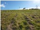 Lot 9 Gilmour Court, Harlaxton QLD 4350