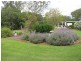 105 Ciesiolka Road, Aubigny, Oakey QLD 4401