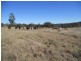 00 Groomsville Road, Groomsville QLD 4352