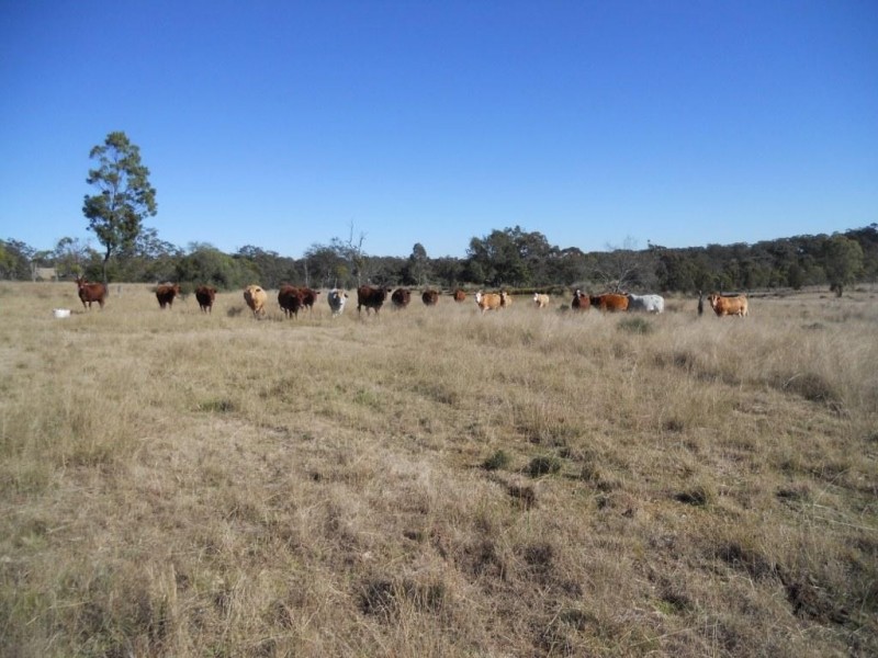 00 Groomsville Road, Groomsville QLD 4352