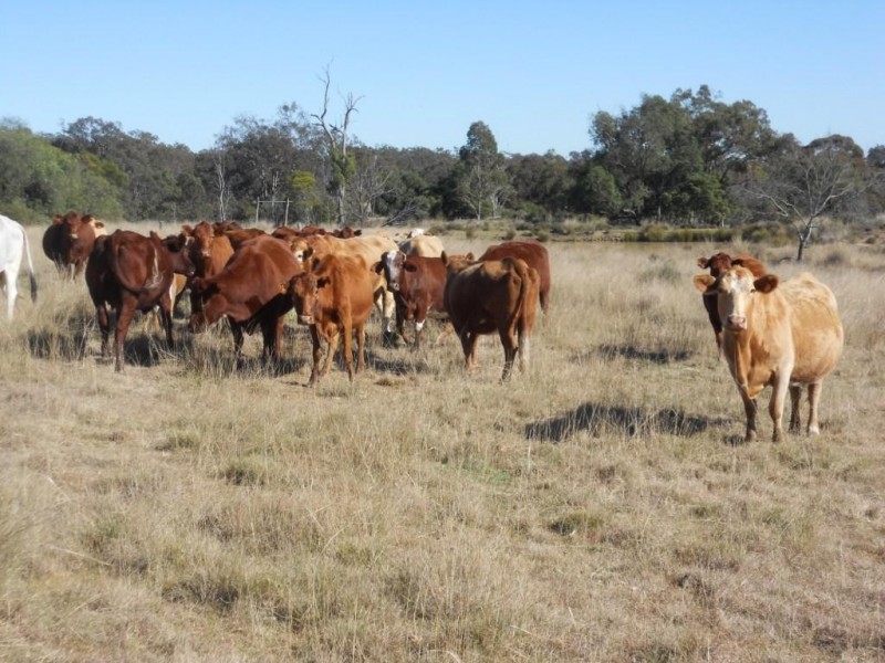 00 Groomsville Road, Groomsville QLD 4352