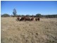 00 Groomsville Road, Groomsville QLD 4352
