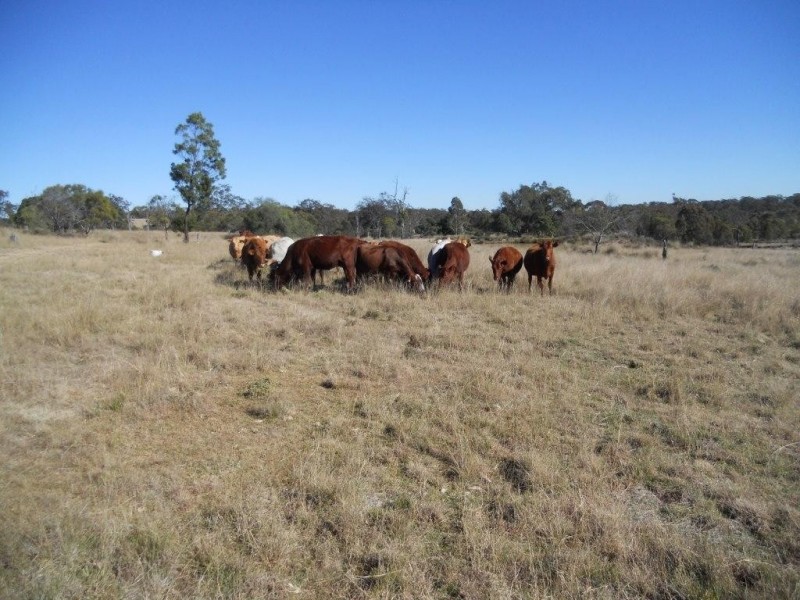 00 Groomsville Road, Groomsville QLD 4352