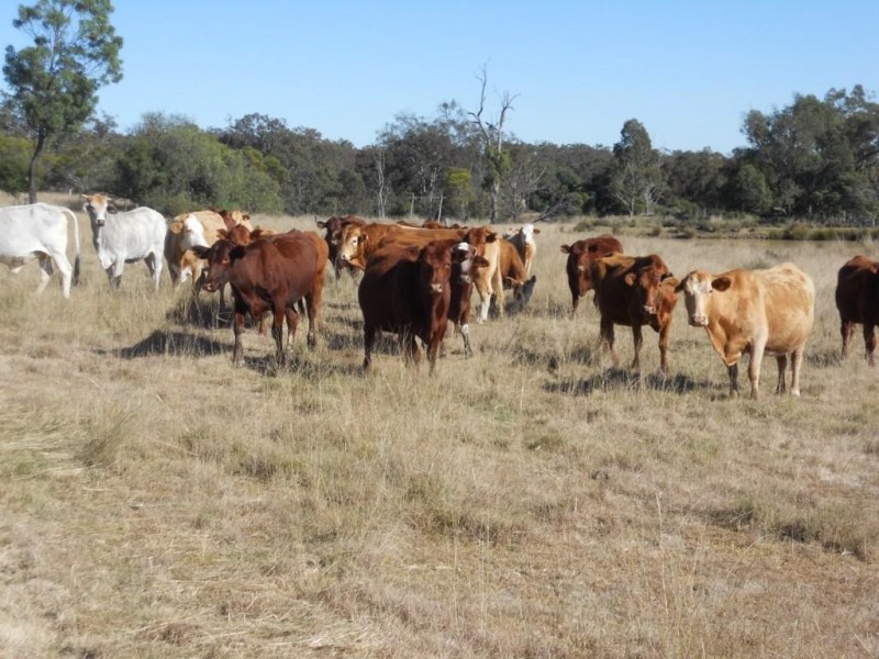 00 Groomsville Road, Groomsville QLD 4352