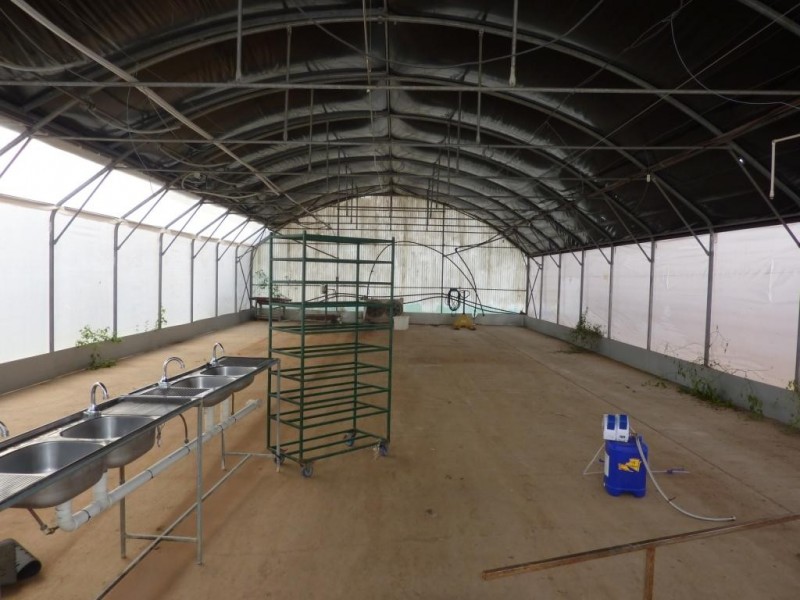 117 Evans Road, Cabarlah QLD 4352