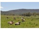 50 Hirstglen Road, Hirstglen QLD 4359