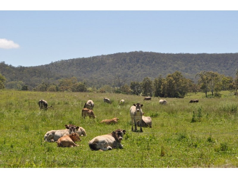 50 Hirstglen Road, Hirstglen QLD 4359