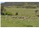50 Hirstglen Road, Hirstglen QLD 4359