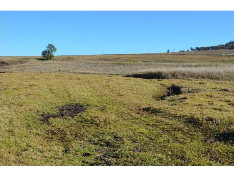 Lot 4 McGovern Road, Headington Hill QLD 4361