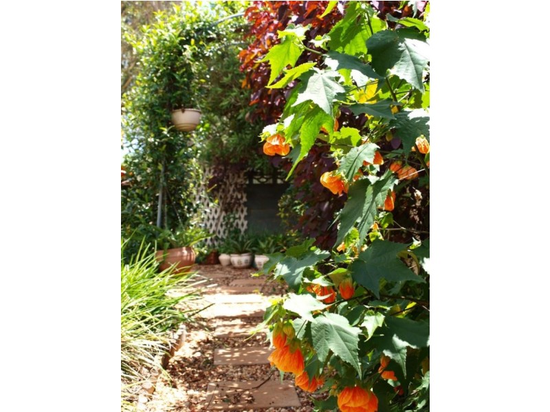 25 Welcombe Avenue, Rockville QLD 4350