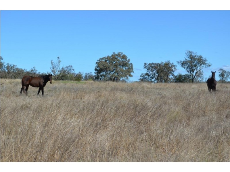 Lot 2 Toowoomba-Karara Rd, Cambooya QLD 4358