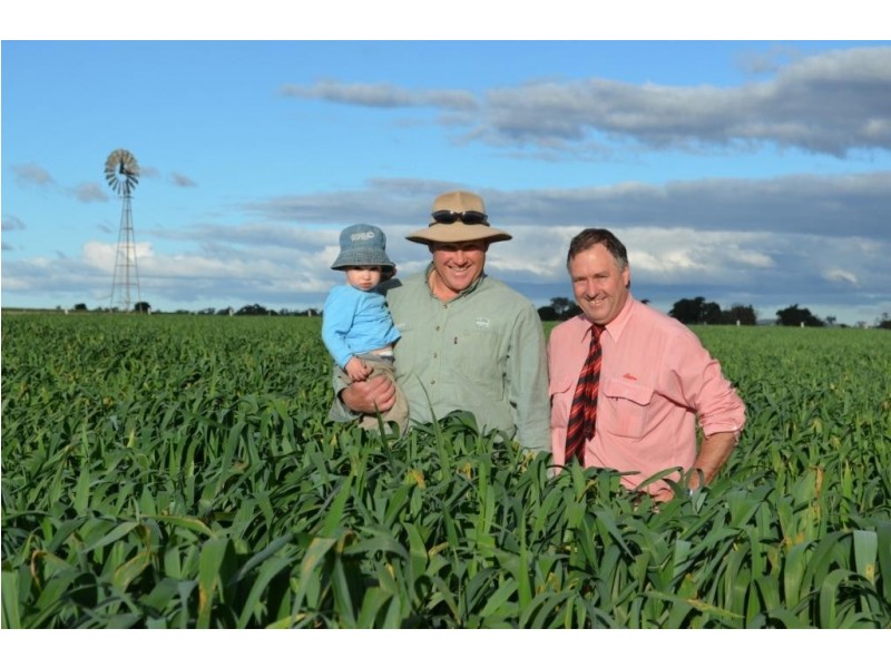 78 Colemans Road, Goombungee QLD 4354