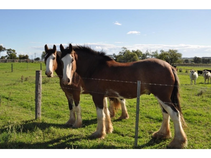 78 Colemans Road, Goombungee QLD 4354