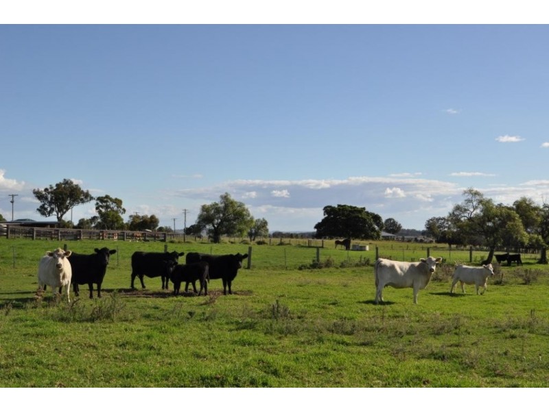 78 Colemans Road, Goombungee QLD 4354