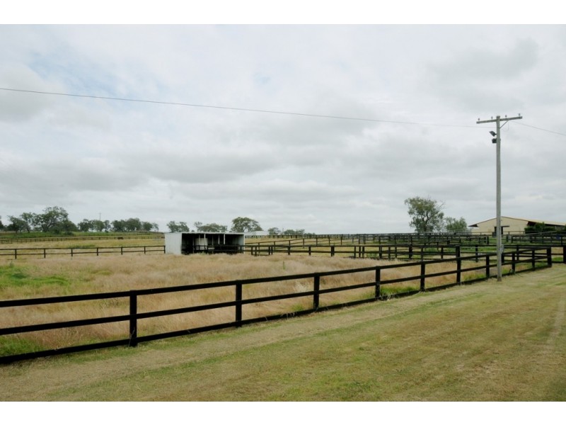 Markham Stud Wegener Road, Westbrook QLD 4350