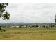 Markham Stud Wegener Road, Westbrook QLD 4350