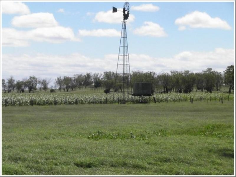 Mount Tyson QLD 4356