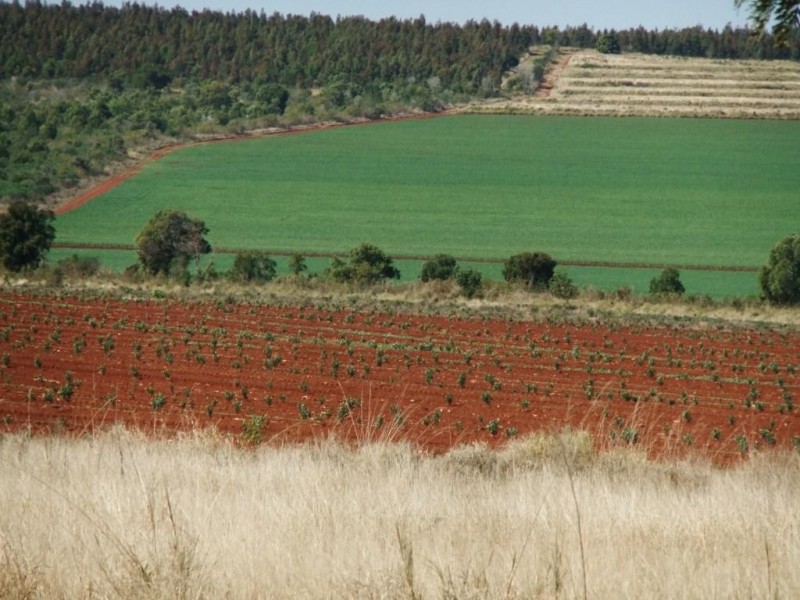 263 Hoggs Road, Wooroolin QLD 4608