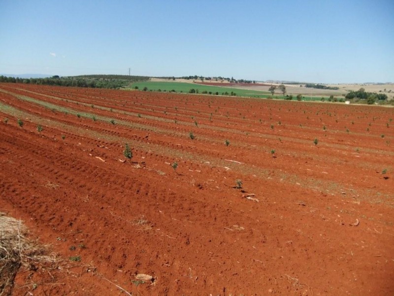 263 Hoggs Road, Wooroolin QLD 4608