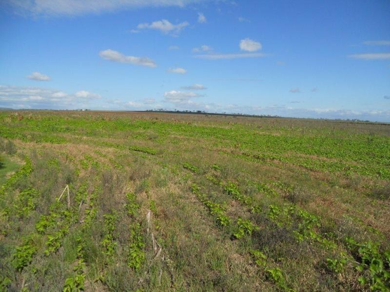 Clifton QLD 4361