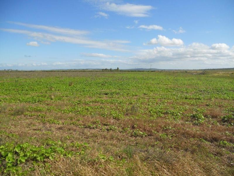 Clifton QLD 4361