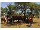 Wellcamp QLD 4350